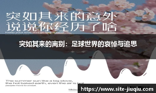 9球高清直播
