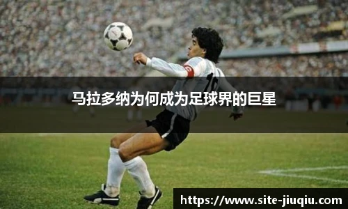 九球体育直播