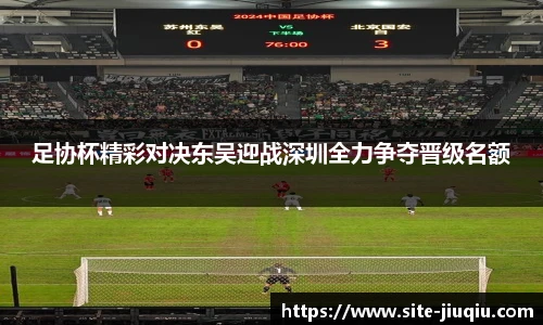 9球高清直播